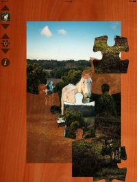 Cкриншот Pony Puzzles, изображение № 948572 - RAWG