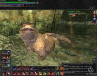 Cкриншот EverQuest II, изображение № 360832 - RAWG