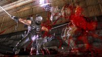 Cкриншот Ninja Gaiden II, изображение № 514276 - RAWG