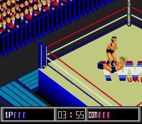 Cкриншот Thunder Pro Wrestling Retsuden, изображение № 760652 - RAWG