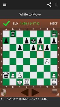 Cкриншот Fun Chess Puzzles Pro (Tactics), изображение № 1479146 - RAWG