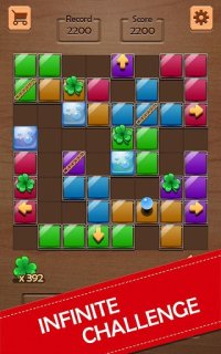 Cкриншот Block Puzzle, изображение № 1376376 - RAWG