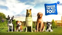 Cкриншот Dog Simulator, изображение № 1454053 - RAWG