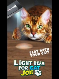 Cкриншот Light Beam For Cat Joke, изображение № 2035639 - RAWG