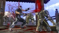 Cкриншот Ninja Gaiden II, изображение № 514329 - RAWG