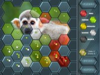 Cкриншот HexLogic - Zoo, изображение № 1336164 - RAWG