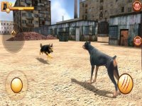 Cкриншот Junkyard Dogs Simulator 3D, изображение № 1695185 - RAWG
