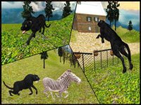 Cкриншот Wild Black Panther Attack Simulator 3D – Hunt the Zebra, Deer & Other Animal in Wildlife Safari, изображение № 917430 - RAWG