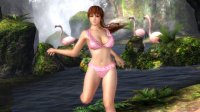 Cкриншот Dead or Alive 5, изображение № 584945 - RAWG