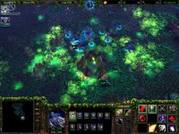 Cкриншот Warcraft 3: Reign of Chaos, изображение № 303462 - RAWG