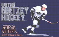 Cкриншот Wayne Gretzky Hockey, изображение № 738607 - RAWG