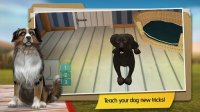 Cкриншот DogHotel: My Dog Boarding Kennel, изображение № 1519894 - RAWG