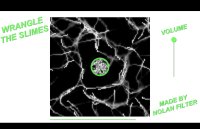 Cкриншот Wrangle The Slimes, изображение № 3373532 - RAWG