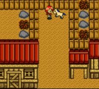 Cкриншот Harvest Moon 2 GBC (1999), изображение № 806572 - RAWG
