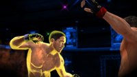Cкриншот Bellator: MMA Onslaught, изображение № 274512 - RAWG