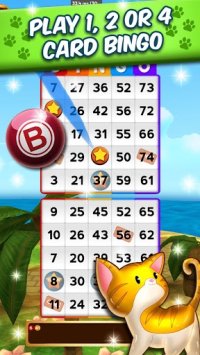 Cкриншот My Bingo Life - Free Bingo Games, изображение № 2072057 - RAWG