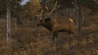 Cкриншот Elk Simulator, изображение № 1831140 - RAWG