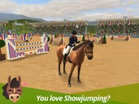 Cкриншот Show Jumping Premium, изображение № 2029306 - RAWG