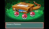 Cкриншот Pokémon Alpha Sapphire, Omega Ruby, изображение № 243018 - RAWG