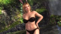 Cкриншот Dead or Alive 5, изображение № 584940 - RAWG