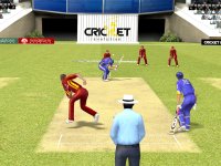 Cкриншот Cricket Revolution, изображение № 206188 - RAWG