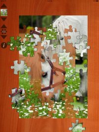 Cкриншот Pony Puzzles, изображение № 948568 - RAWG