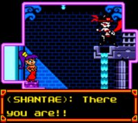 Cкриншот Shantae, изображение № 243768 - RAWG