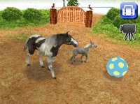 Cкриншот Petz Horseshoe Ranch, изображение № 785498 - RAWG