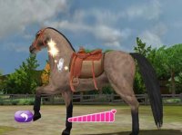 Cкриншот Pony Friends 2, изображение № 254434 - RAWG