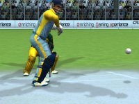 Cкриншот Cricket Life, изображение № 483518 - RAWG