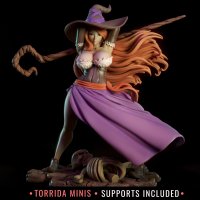 Cкриншот Sorceress (Torrida Minis), изображение № 3176502 - RAWG