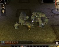 Cкриншот Neverwinter Nights: Hordes of the Underdark, изображение № 372773 - RAWG