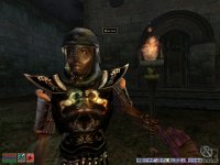 Cкриншот The Elder Scrolls 3: Bloodmoon, изображение № 361988 - RAWG