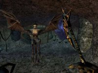 Cкриншот The Elder Scrolls III: Morrowind, изображение № 119028 - RAWG