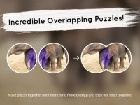 Cкриншот Venn Elephants: Overlapping Jigsaw Puzzles, изображение № 1788602 - RAWG