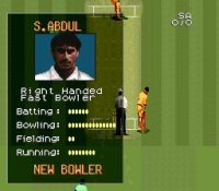 Cкриншот Super International Cricket, изображение № 762855 - RAWG