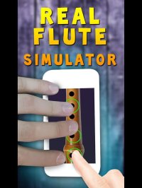 Cкриншот Real Flute Simulator, изображение № 871611 - RAWG