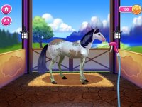 Cкриншот My Magic Horse Care Academy, изображение № 2183931 - RAWG