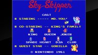 Cкриншот Arcade Archives Sky Skipper, изображение № 806586 - RAWG