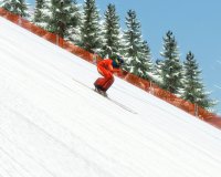 Cкриншот Горные лыжи: Альпийский сезон 2007, изображение № 464236 - RAWG
