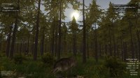 Cкриншот Wolf Simulator, изображение № 129263 - RAWG