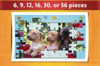 Cкриншот Dogs Jigsaw Puzzles Game - For Kids & Adults 🐶, изображение № 1466262 - RAWG
