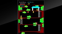 Cкриншот Arcade Archives Kangaroo, изображение № 2450728 - RAWG