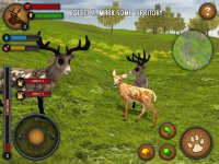 Cкриншот Deer of the Forest, изображение № 973746 - RAWG