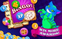 Cкриншот Bingo Wonderland, изображение № 1416535 - RAWG