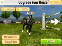 Cкриншот Equestrian: Horse Racing 3D, изображение № 1625992 - RAWG