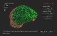 Cкриншот Lobes Of The Brain, изображение № 1300745 - RAWG