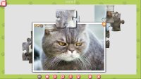 Cкриншот 1001 Jigsaw. Cute Cats 3, изображение № 3500046 - RAWG