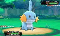 Cкриншот Pokémon Alpha Sapphire, Omega Ruby, изображение № 243021 - RAWG