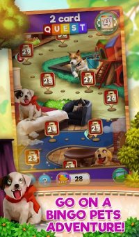 Cкриншот Bingo Pets Party: Dog Days, изображение № 2084389 - RAWG